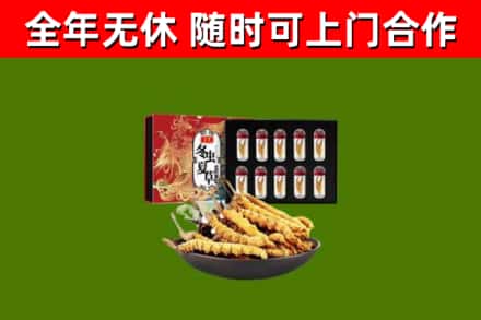 日照回收冬虫夏草价格